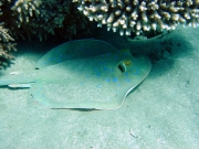 DSC04479m 