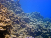 DSC04493m 