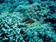 DSC04511m 