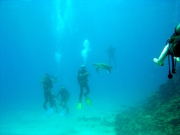 DSC04528m 