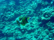 DSC04541m 