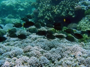 DSC04547m 