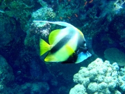 DSC04550m 
