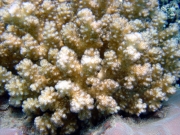 DSC04566m