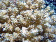 DSC04567m 