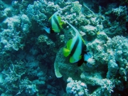 DSC04747m 