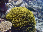 DSC04748m 