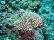 DSC04761m 