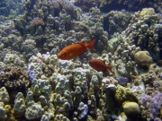 DSC04787m 
