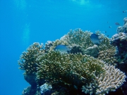 DSC04809m 