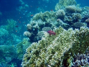 DSC04812m 