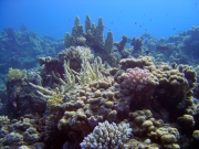 DSC04851m 