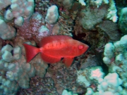 DSC04854m 