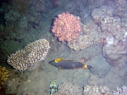 DSC04925m 