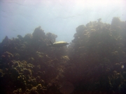 DSC04994m 