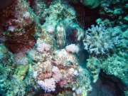 DSC05001m 