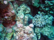 DSC05002m 
