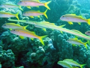 DSC05101m 