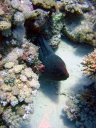 DSC05132m 