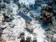 DSC05149m 