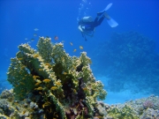DSC05157m 