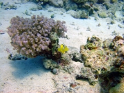 DSC05160m 