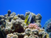 DSC05193m 