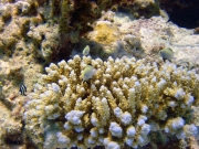 DSC05197m 