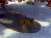 DSC05200m 