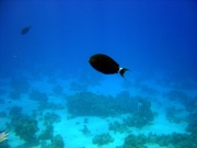 DSC05219m 