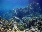 DSC05220m 