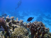 DSC05248m 