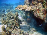 DSC05259m 