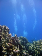 DSC05268m 