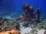 DSC05293m 