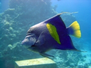 DSC05298m2 