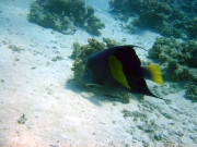 DSC05300m 