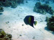 DSC05301m 