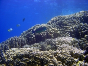 DSC05310m 