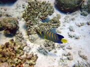 DSC05324m 