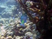 DSC05359m 
