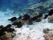 DSC05367m 