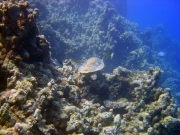 DSC05406m 