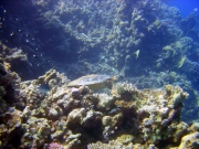 DSC05408m 