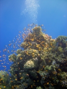 DSC05500m 