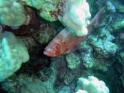 DSC05509m 