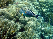 DSC05552m 