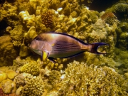 DSC05569m 