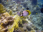 DSC05603m 