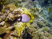 DSC05604m 